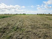 ? Parduodamas 31 A Sklypas Martinų K. – Rami