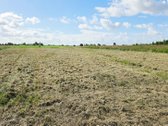 ? Parduodamas 31 A Sklypas Martinų K. – Rami - nuotraukos Nr. 2