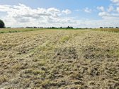? Parduodamas 31 A Sklypas Martinų K. – Rami - nuotraukos Nr. 4