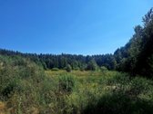 Rinkitės gyvenamąjį namą, kur liksite - nuotraukos Nr. 3