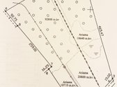 Parduodamas 17,3901 ha žemės ūkio paskirties