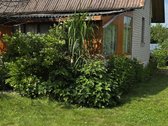 Namas: Mūrinis pastatas su mansarda