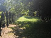 Parduodama žemės sklpo dalis t.y. 21,19 iš 70 - nuotraukos Nr. 4