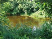 Be tarpininkų parduodamas raudonų plytų - nuotraukos Nr. 4