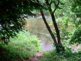 Be tarpininkų parduodamas raudonų plytų - nuotraukos Nr. 5