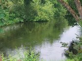 Be tarpininkų parduodamas raudonų plytų - nuotraukos Nr. 9