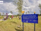 Tik Jonučiuose gali atsirasti namai, kuriuos - nuotraukos Nr. 13