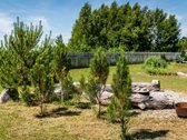 Parduodamas kruopščiai prižiūrimas ir - nuotraukos Nr. 5