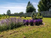 Parduodamas kruopščiai prižiūrimas ir - nuotraukos Nr. 9