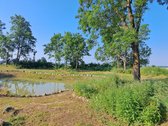 Parduodamas erdvus namų valdos sklypas - nuotraukos Nr. 11