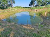 Parduodamas erdvus namų valdos sklypas - nuotraukos Nr. 16