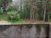 Parduodamas Keičiamas į 1-o kambario butą - nuotraukos Nr. 8