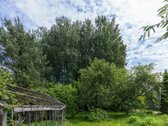 Parduodamas likvidus, investicinis sodo