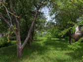 Parduodamas likvidus, investicinis sodo - nuotraukos Nr. 3
