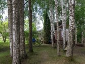 Parduodamas likvidus, investicinis sodo - nuotraukos Nr. 6