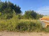 Parduodamas sklypas Utenos Mieste, adresas: - nuotraukos Nr. 5