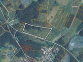 Parduodamas 6,6 ha žemės sklypas su mišku - nuotraukos Nr. 5