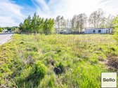  – Nt ekspertai be procentų - nuotraukos Nr. 7