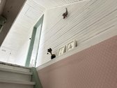 Jaukus Provanso stiliaus sodo namas Dercekliuose. - nuotraukos Nr. 15