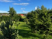 Parduodamas kokybiškas, erdvus namas - nuotraukos Nr. 15