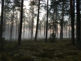 Parduodamas kokybiškas, erdvus namas - nuotraukos Nr. 49