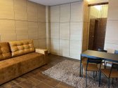 Stilingas ir ekonomiškas loftas-studija su