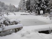 Prie Kelio A12 Šiauliai - Kryžkalnis , 104 a - nuotraukos Nr. 40