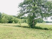 Parduodamas 72,26 arų žemės ūkio paskirties - nuotraukos Nr. 3