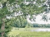 Parduodamas 72,26 arų žemės ūkio paskirties - nuotraukos Nr. 4