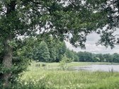 Parduodamas 72,26 arų žemės ūkio paskirties - nuotraukos Nr. 5