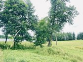Parduodamas 72,26 arų žemės ūkio paskirties - nuotraukos Nr. 7