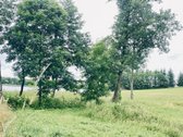 Parduodamas 72,26 arų žemės ūkio paskirties - nuotraukos Nr. 8