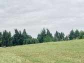 Parduodamas 72,26 arų žemės ūkio paskirties - nuotraukos Nr. 9