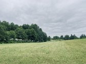 Parduodamas 72,26 arų žemės ūkio paskirties - nuotraukos Nr. 13