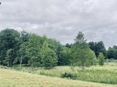 Parduodamas 72,26 arų žemės ūkio paskirties - nuotraukos Nr. 16