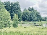 Parduodamas 72,26 arų žemės ūkio paskirties - nuotraukos Nr. 17
