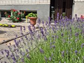 Parduodamas erdvus gyvenamasis namas su 2 - nuotraukos Nr. 10