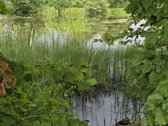 Parduodamas erdvus gyvenamasis namas su 2 - nuotraukos Nr. 30
