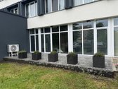 Nuomojamas Moderniai Įrengtas 1 Kambario - nuotraukos Nr. 9