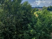 Išnuomojamas jaukus, šviesus, tvarkingas1 - nuotraukos Nr. 14