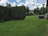 Panevėžio r. sav., Skaistgirių k. - nuotraukos Nr. 19