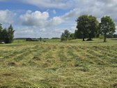 Parduodamas namų valdos paskirties sklypas Nr