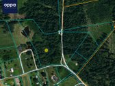Parduodamas 1,60 Ha Žemės Ūkio Paskirties - nuotraukos Nr. 8