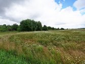 Parduodamas 10 Arų Namų Valdos Sklypas - nuotraukos Nr. 11