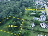 Palemone, besiribojantis su mišku, netoli - nuotraukos Nr. 2