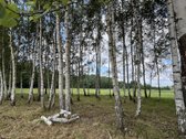 Parduodami 36 gyvenamosios paskirties sklypai - nuotraukos Nr. 9