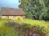 Parduodama sodyba–vienkiemis Pakruojo r., - nuotraukos Nr. 4