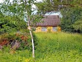 Parduodama sodyba–vienkiemis Pakruojo r., - nuotraukos Nr. 5