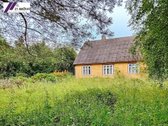 Parduodama sodyba–vienkiemis Pakruojo r., - nuotraukos Nr. 6