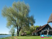 Išskirtinė Vieta Nuolatiniam Gyvenimui Ir - nuotraukos Nr. 42